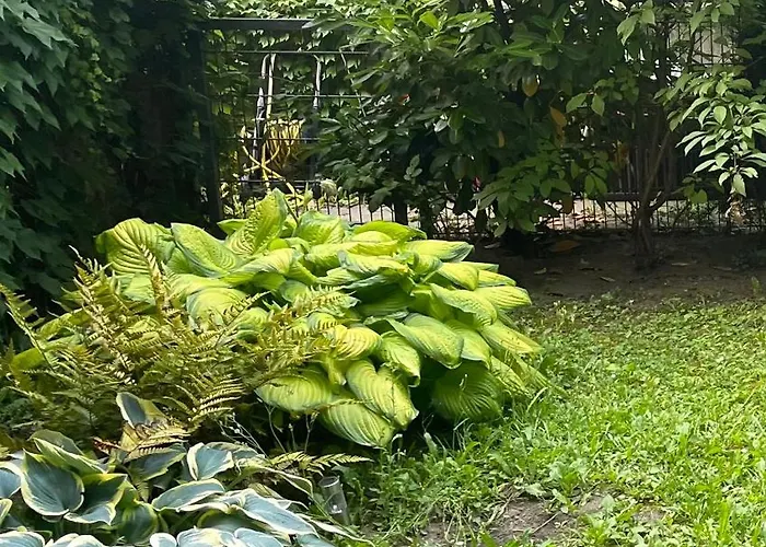 Mit Logia Und Kleinen Garten In Zentraler Lage 2 *